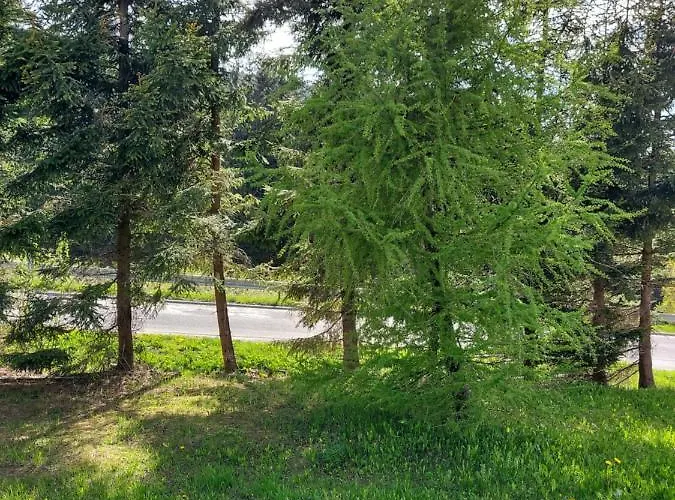 Horsky Temari 3 Klinovec * Loučná pod Klínovcem